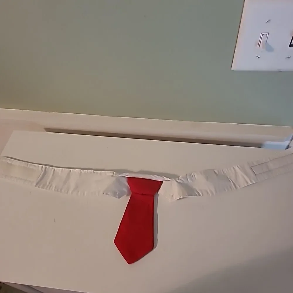 Dog Collar and Necktie